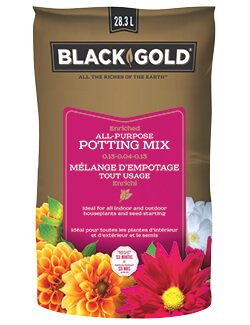 Black Gold® Enriched All-Purpose Potting Mix