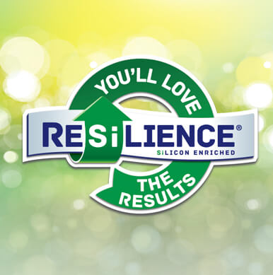 Overview of Results with RESiLIENCE®