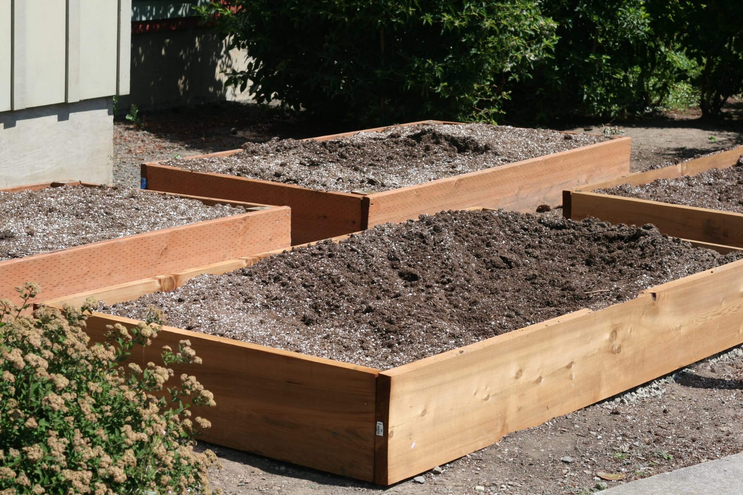 Donated Planters with Black Gold Soil