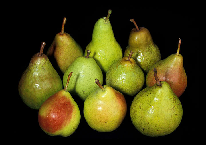 Getting the Fruit Back - Pears
