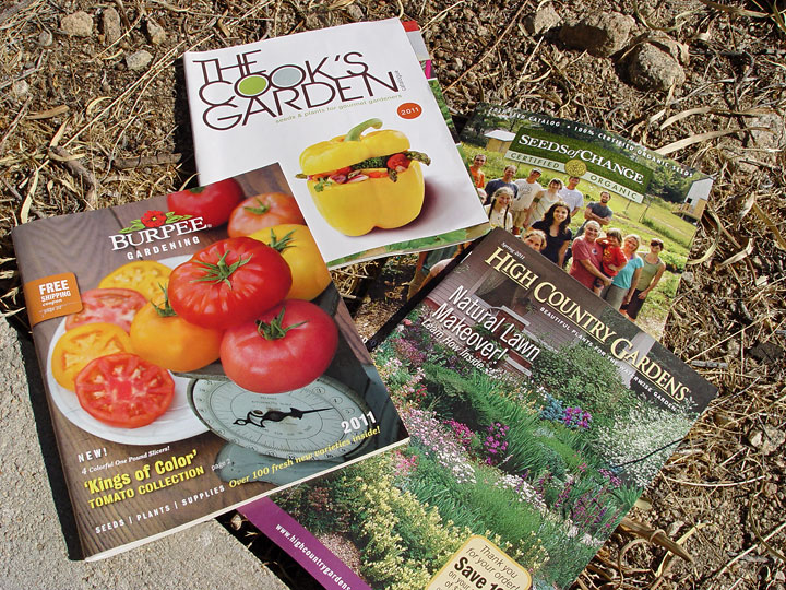 Planning Your 2012 Garden - Seed Catalogues