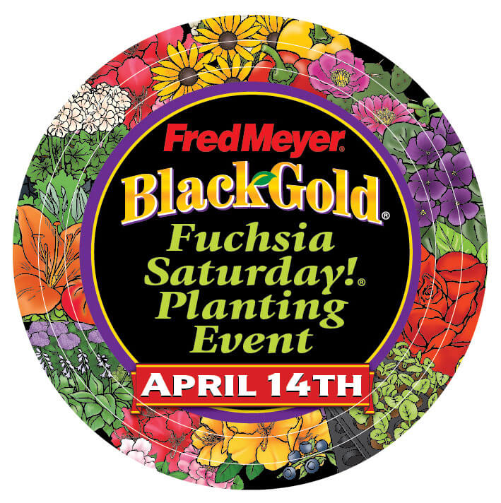 April 12th The 24th Annual Fred Meyer Fuchsia Saturday Planting Event