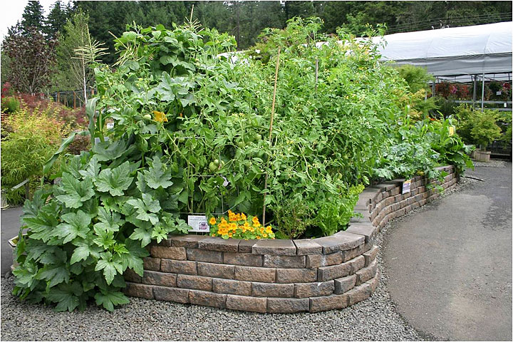 Farmington Garden Raised Vegetable Beds - Rich Baer