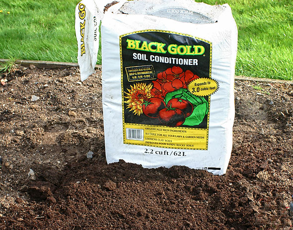 After Black Gold Soil Conditioner - Photo by Rich Baer