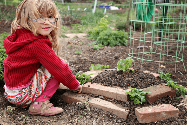 Strawberries: Making Kids Berry Happy - Jessie Keith