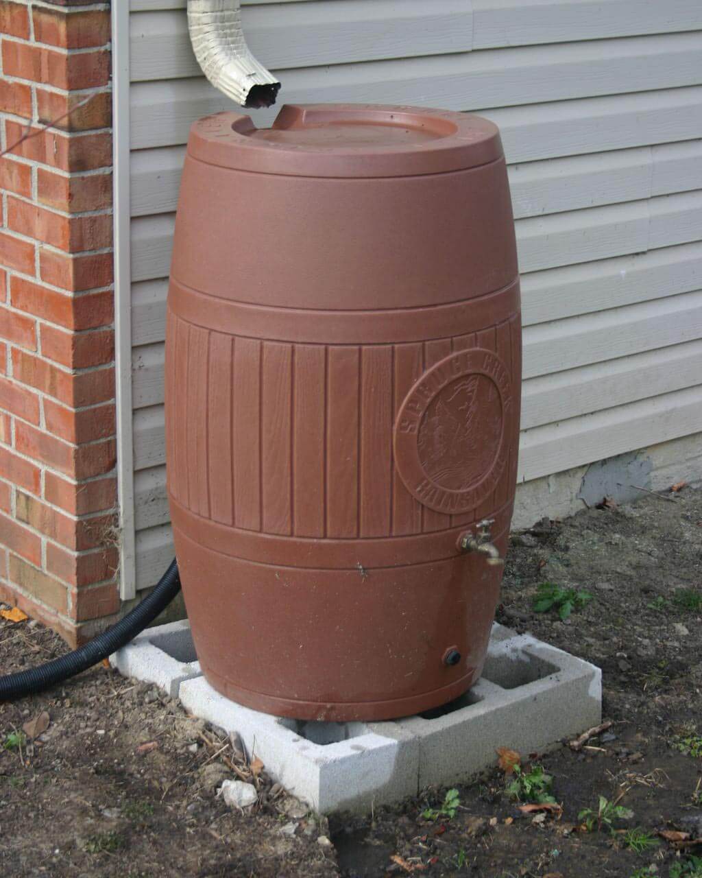 Rain Barrel