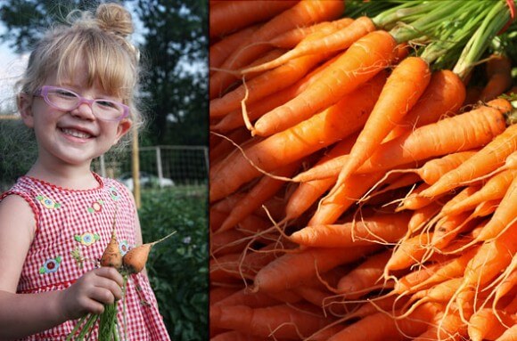 Enjoying Root Vegetables - Jessie Keith