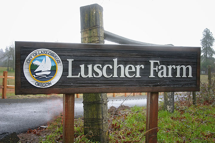 Green Philanthropy - Luscher Farm