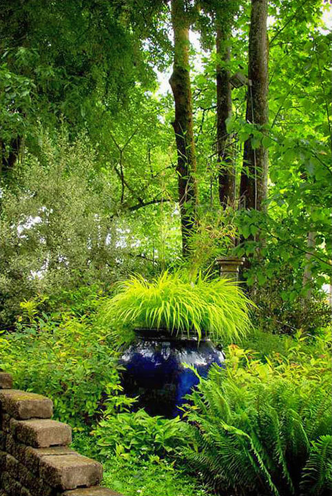 Blue Pot with Bamboo & Japanese Forest Grass - Photo by Rich Baer