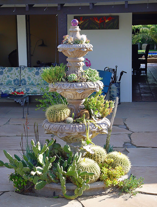 Cactus Fountain - Photo by Maureen Gilmore