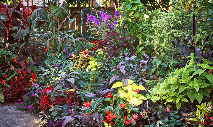 Container Garden with Pots Not Visible - Photo by Rich Baer