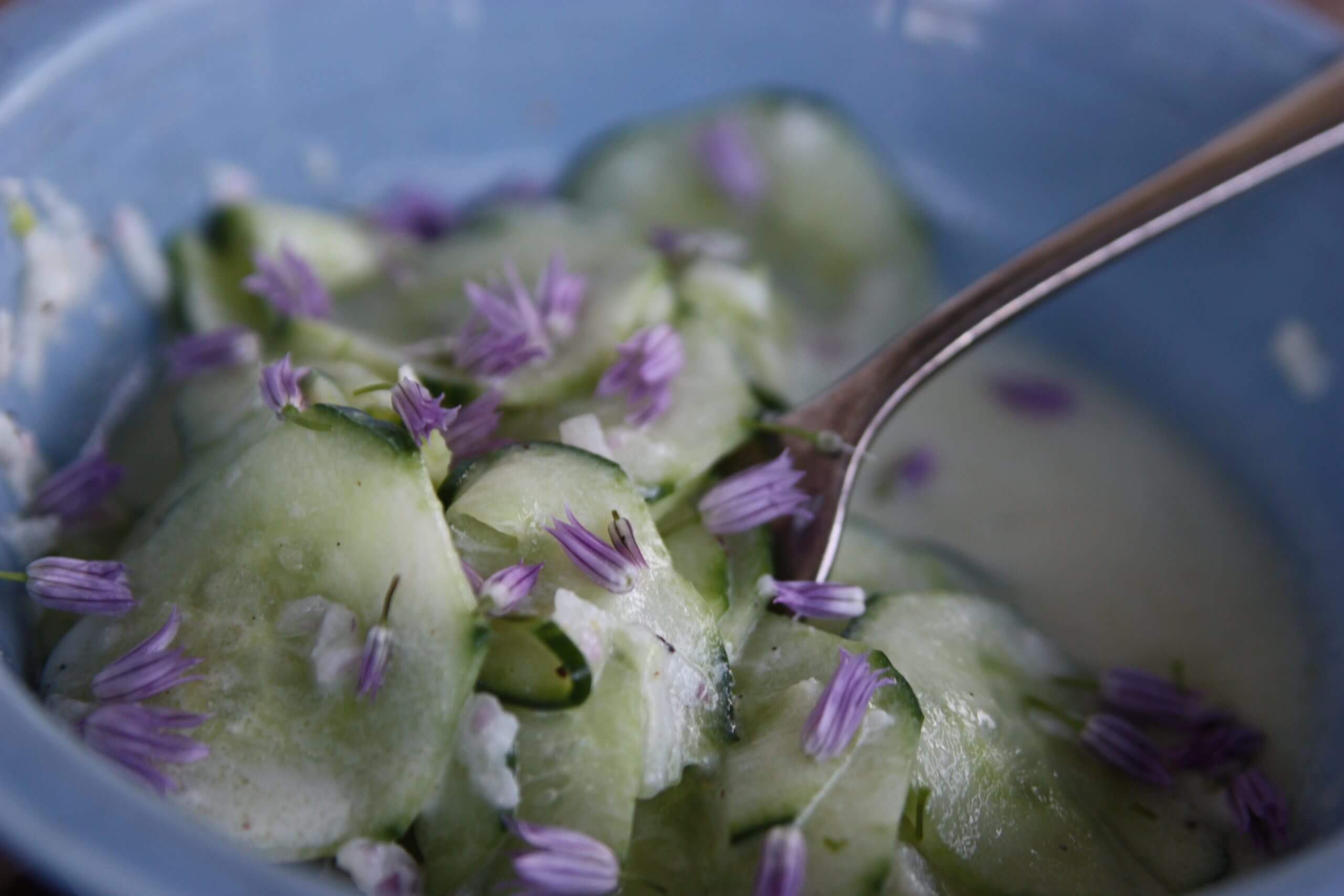 Pretty chive flowers and a sweet onion flavor to fresh cucumber salad.