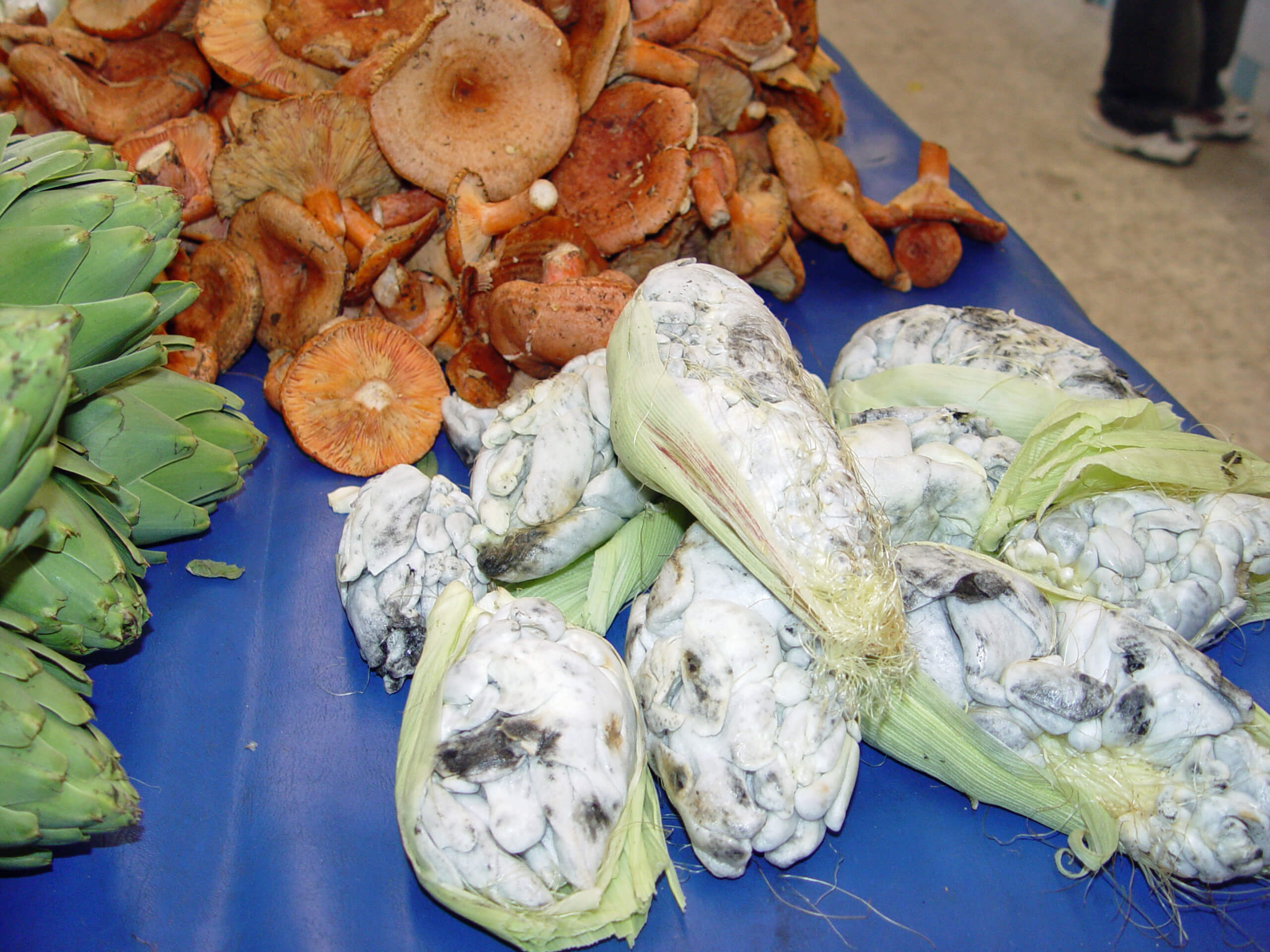 Fresh huitlacoche being sold fresh at summer market.