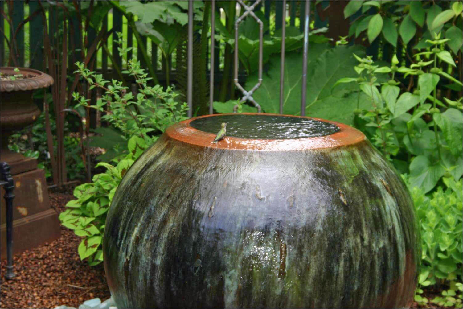 A hummingbird cools its feet on the edge of Mike's favorite garden water feature.