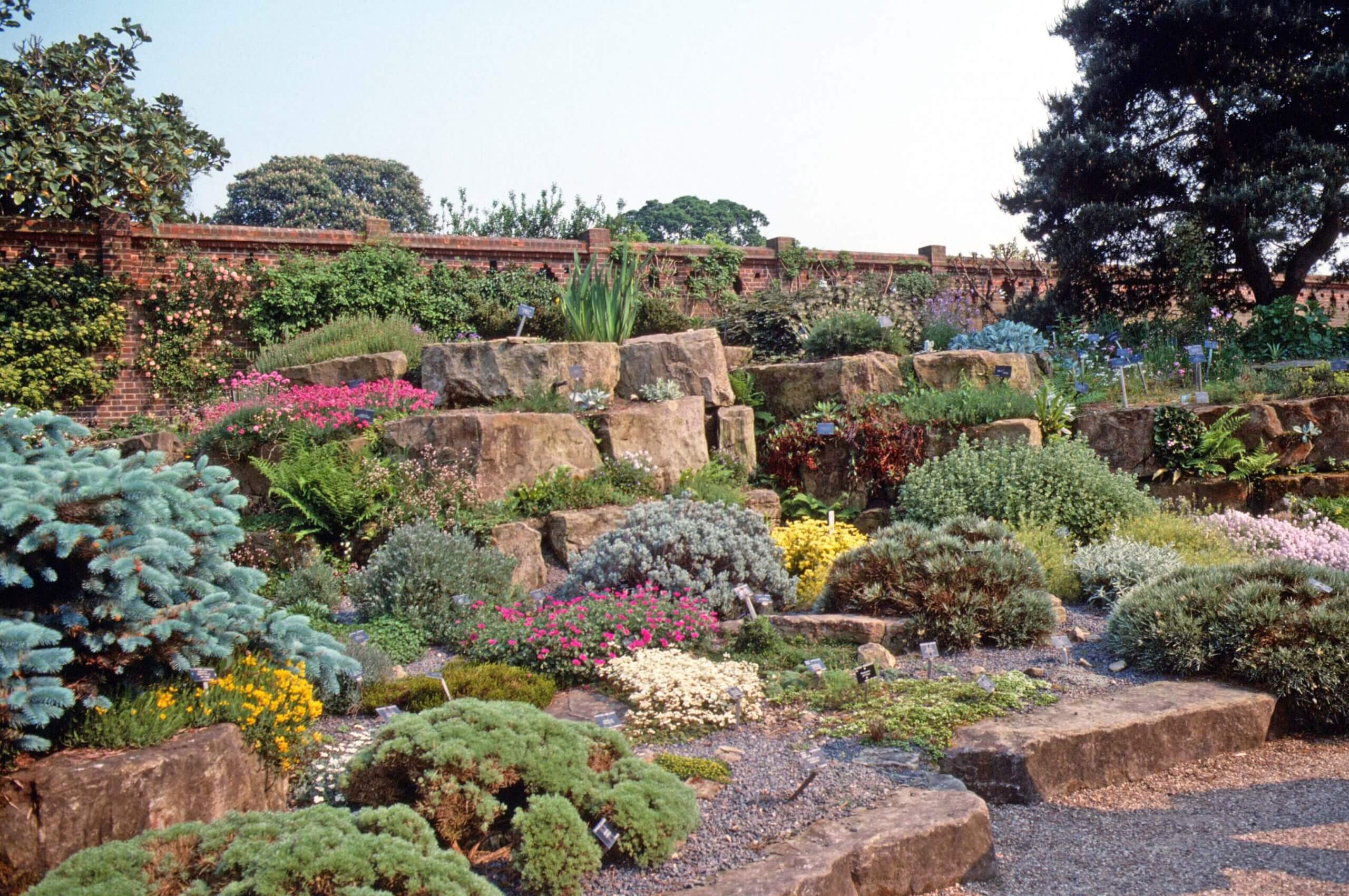 Succulents thrive in the crevices and graveled beds of an English rock garden.