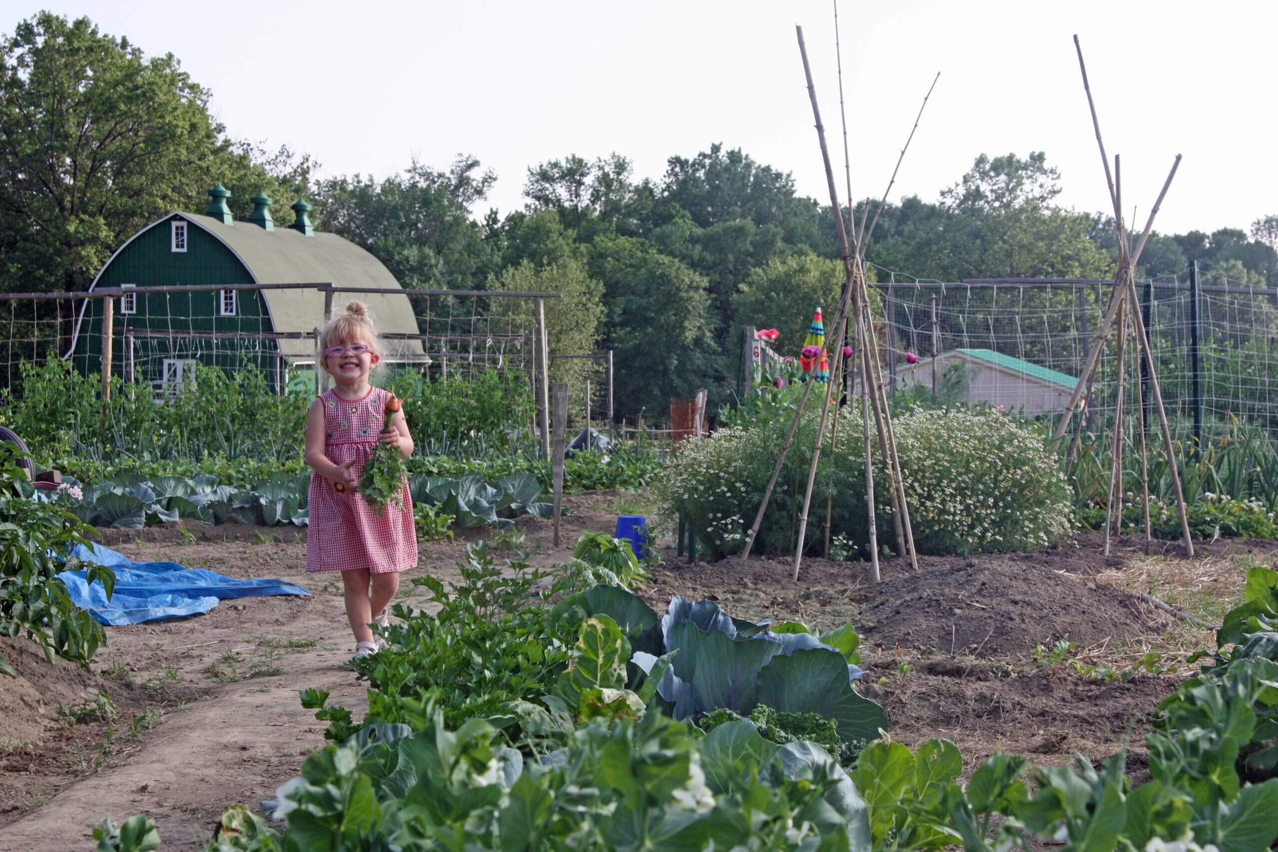 Simple bamboo tipis are so easy to make and so functional in the vegetable garden.