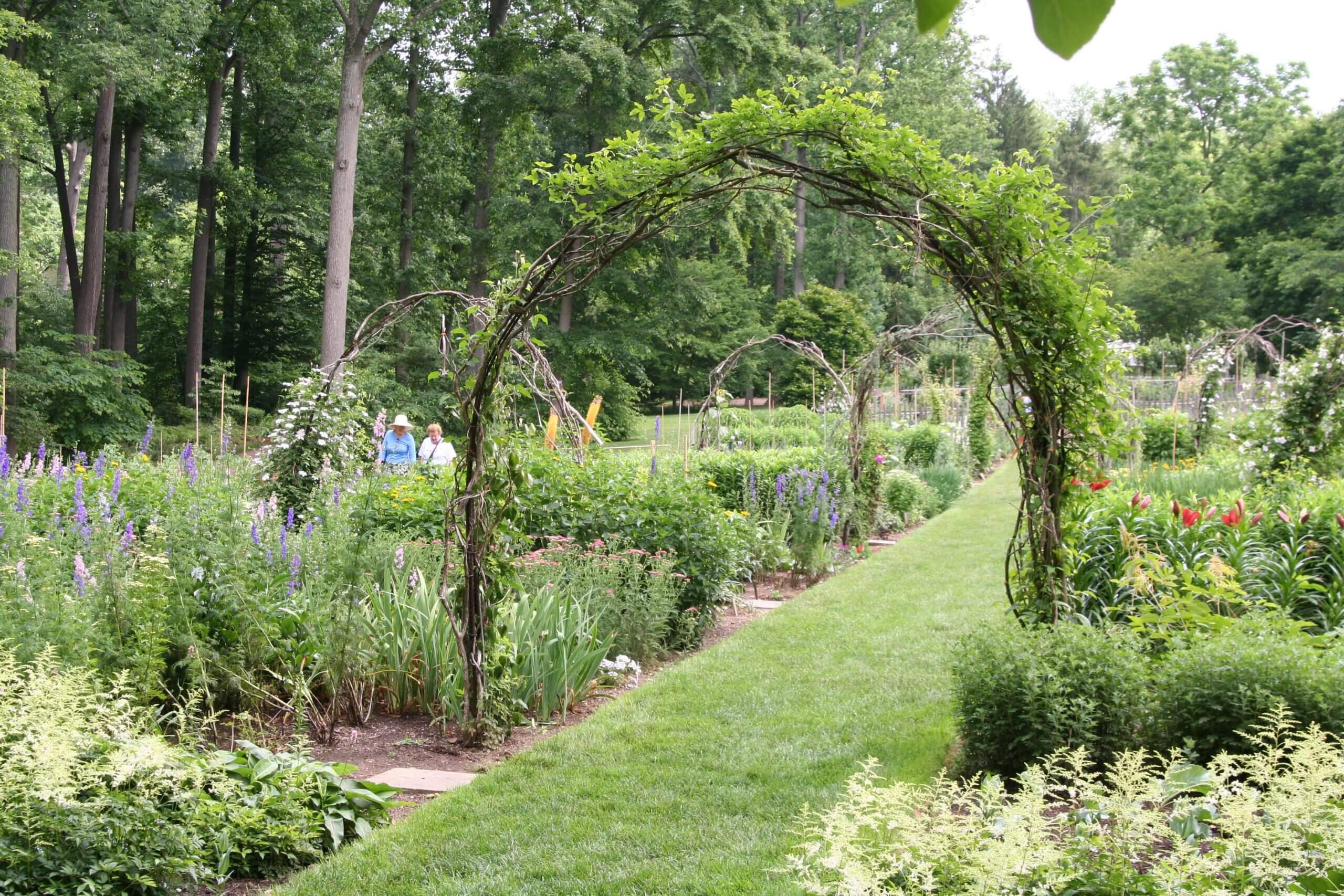 The bentwood arbors at Chanticleer Gardens in Wayne, PA are simply beautiful.