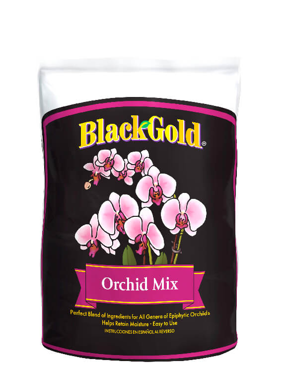 BG Orchid Mix front