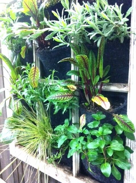 vertical window garden