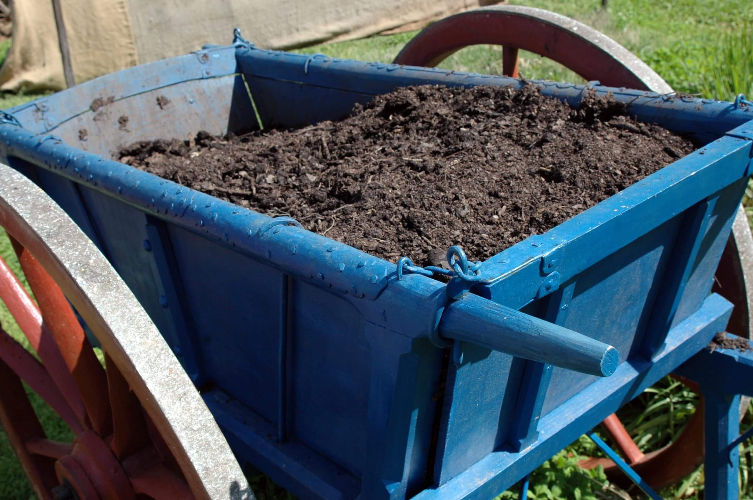 8 Uses for Old Potting Soil (+ 2 Things You Should Never Do With It)