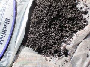 Layering sections of newsprint and covering it with compost smothers weeds while building soil.