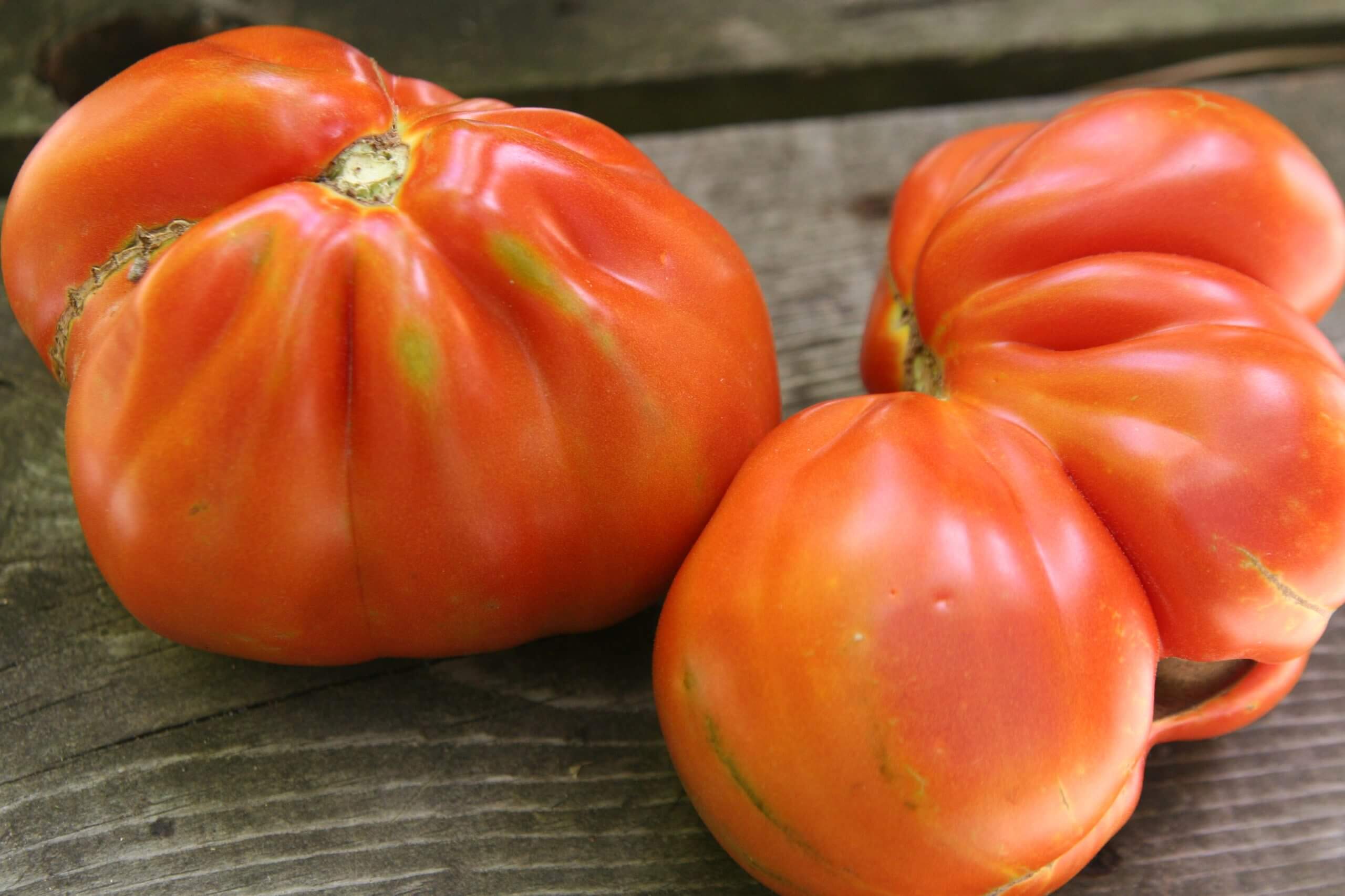 Fresh, heirloom tomatoes are also essential for really good salsa, fresh or cooked.