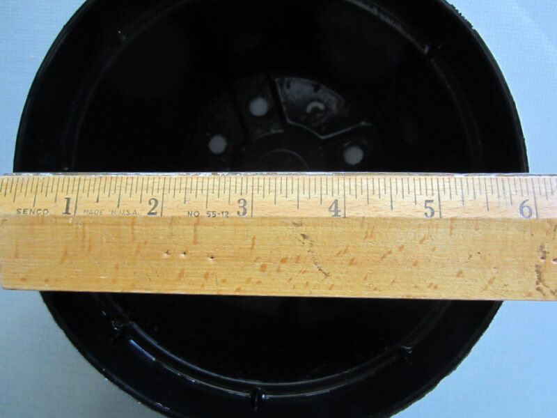 Measure pots to make sure that you bump up only 1-2" larger when you repot.