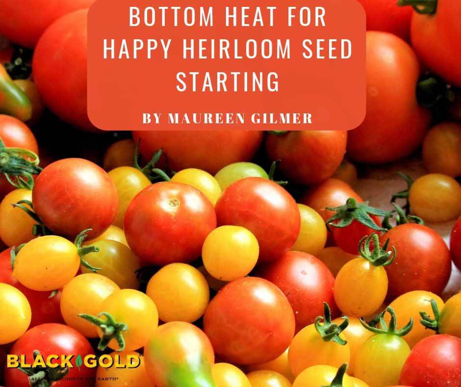 Bottom Heat for Happy Heirloom Seed Starting – Black Gold