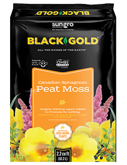 Harvesting and Planting Moss – Black Gold