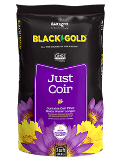 Harvesting and Planting Moss – Black Gold