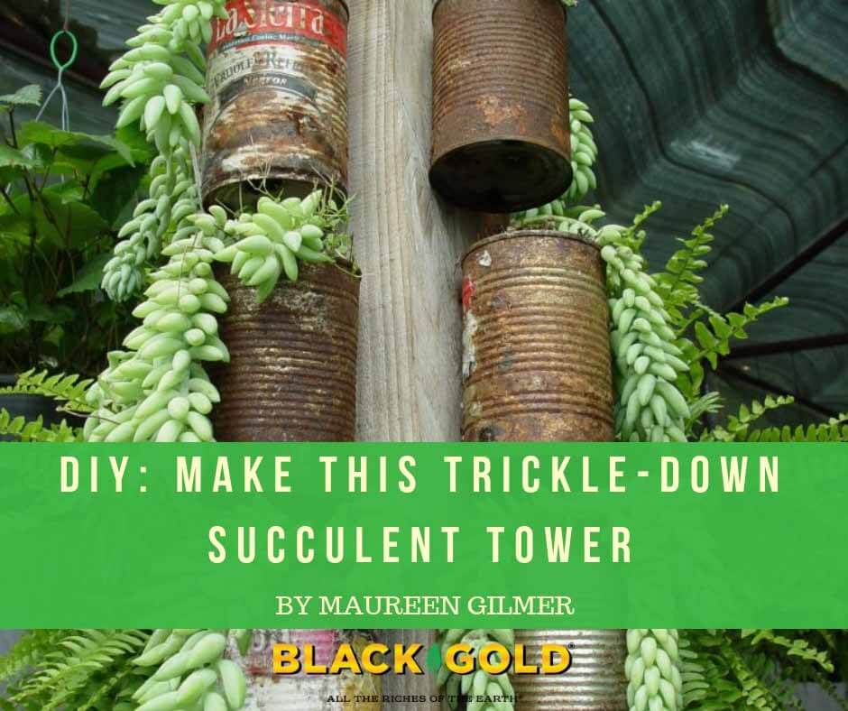 How to Make A Succulent Tower Planter