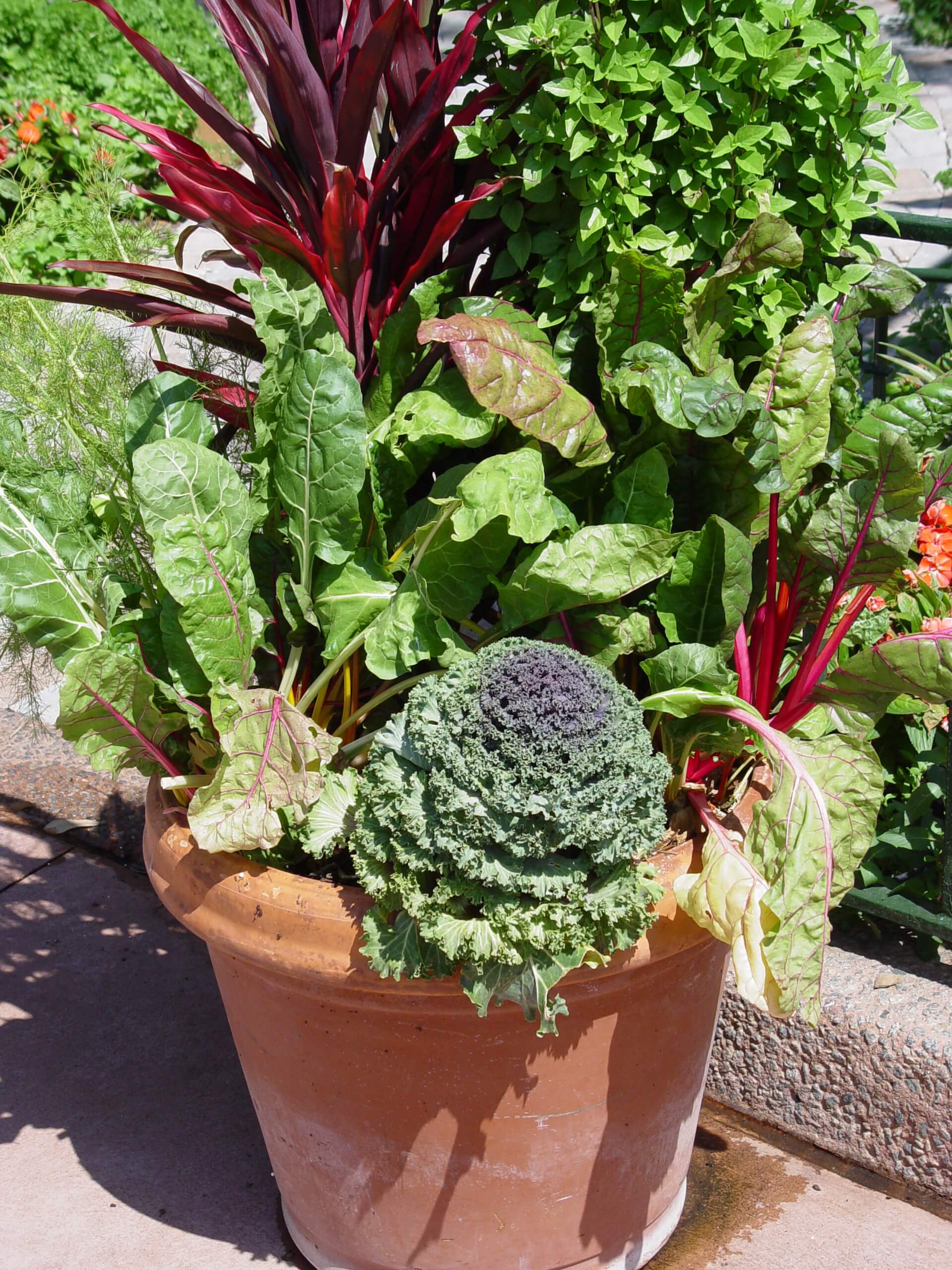 Large pots on a sunny porch or patio can be packed with greens for easy picking.