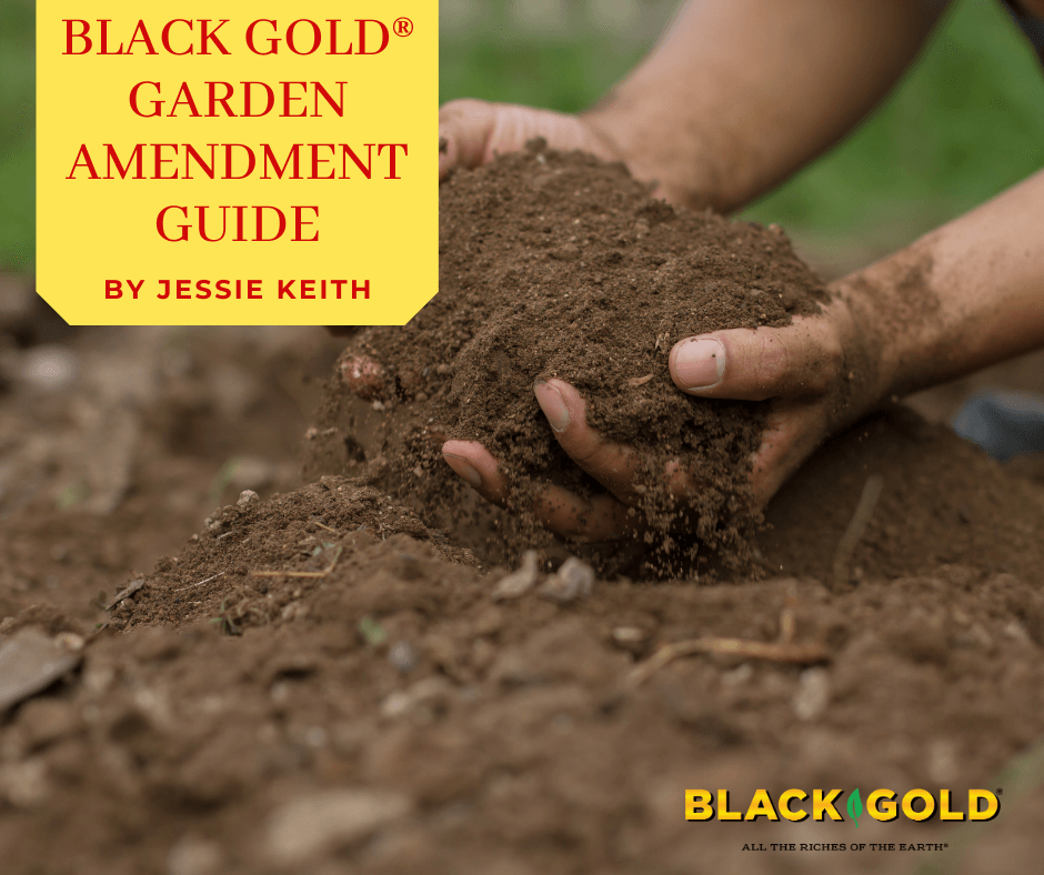 BLACK GOLD® Garden Amendment Guide – Black Gold