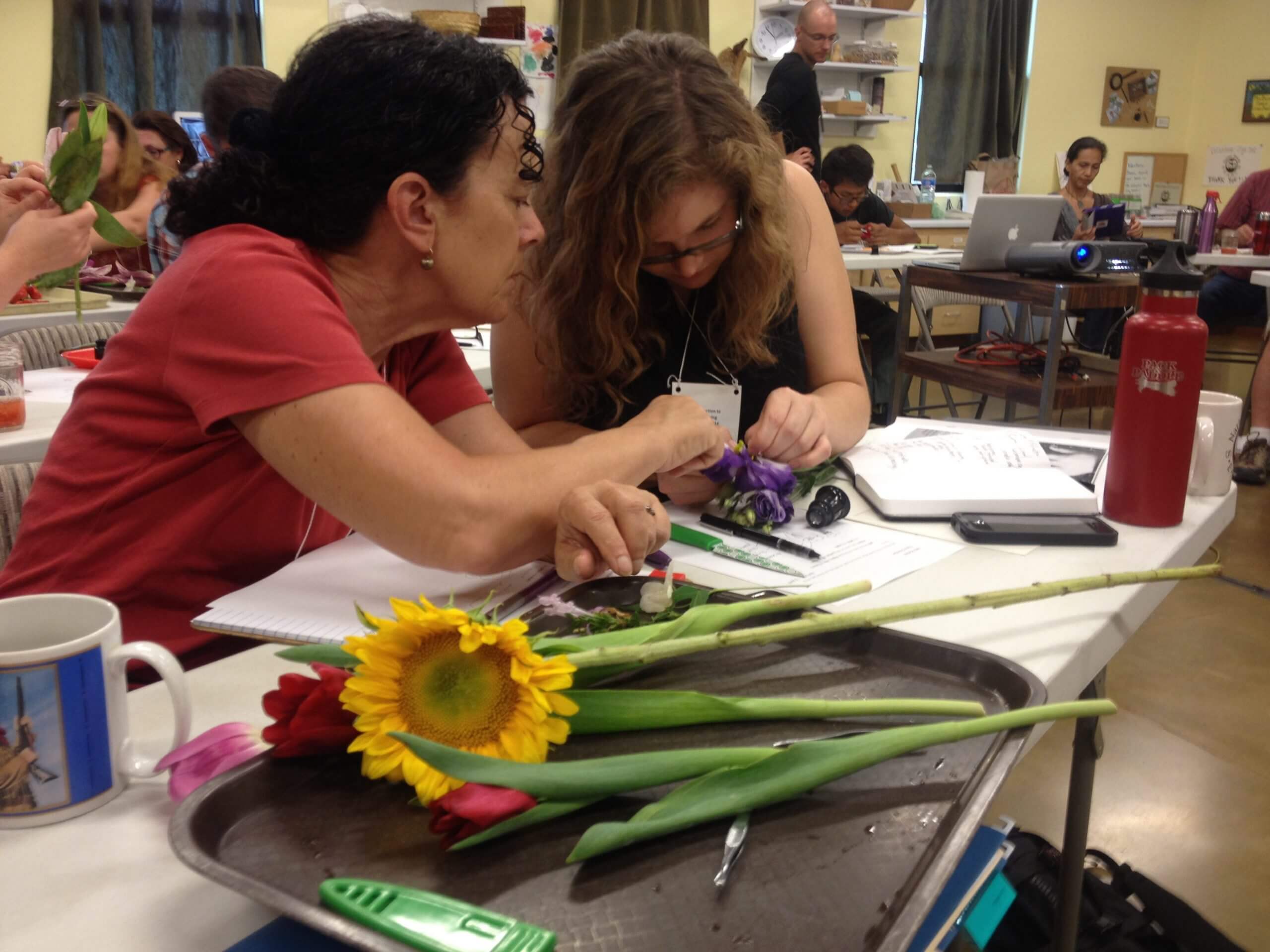 Seed Saving Workshops 1