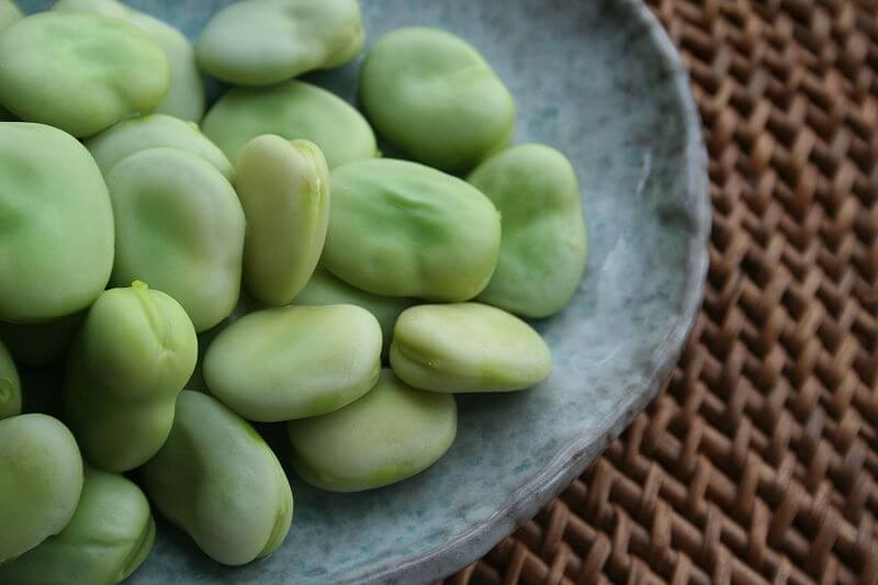800px-Broad-beans-after-cooking