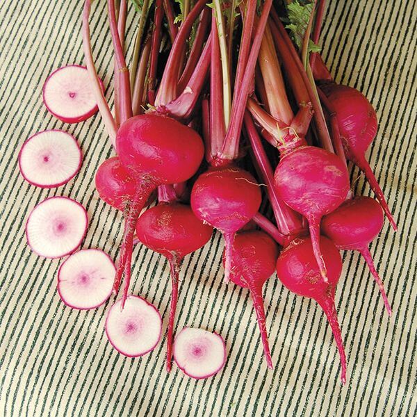 Root Vegetable Storage Bin - Potatoes, Carrots, Beets +More