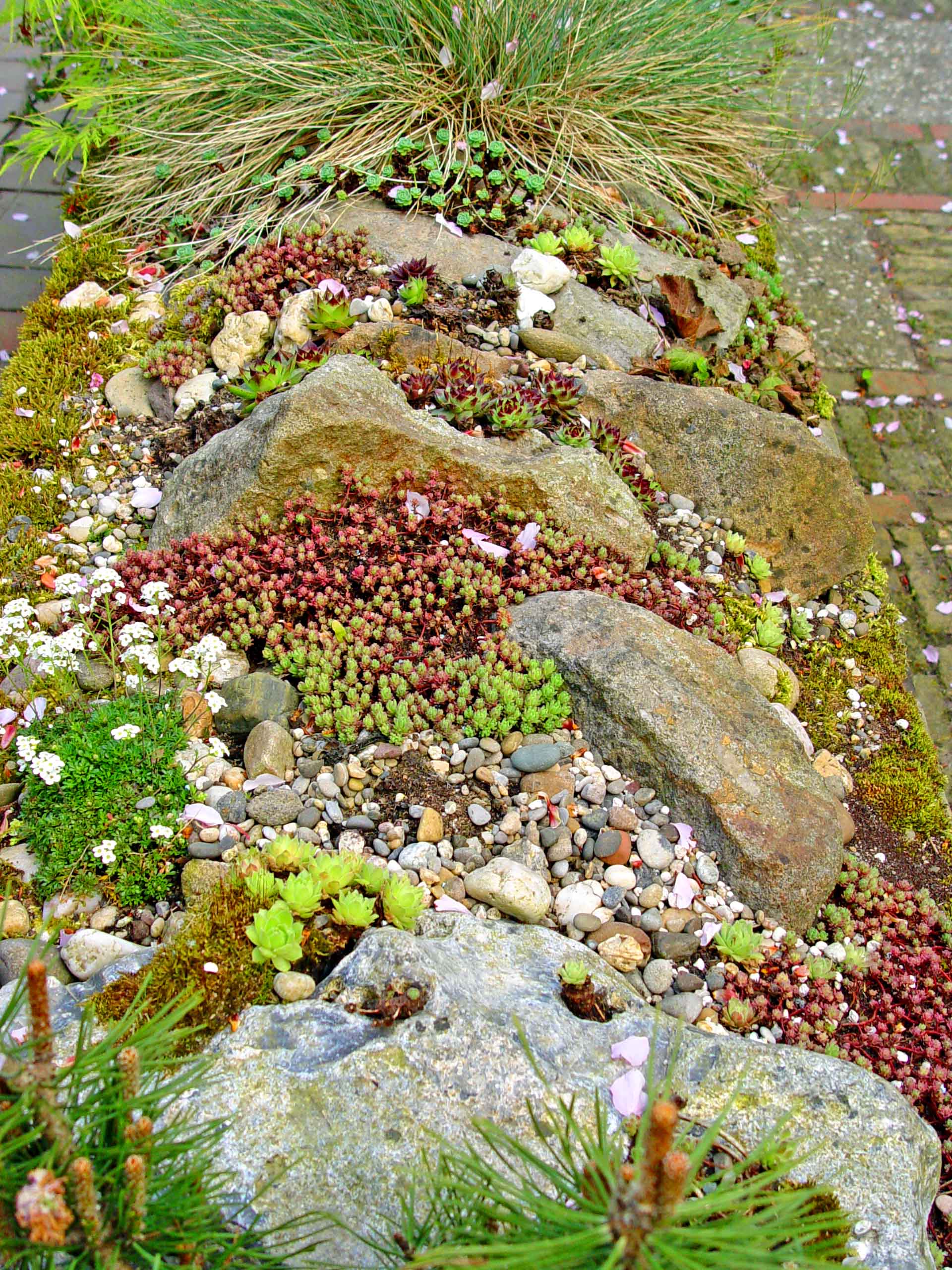 4-Layer Easy Rock Garden Design – Black Gold