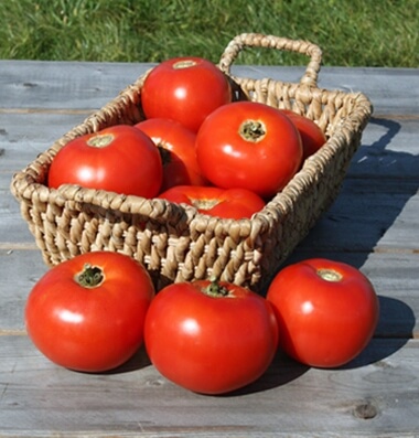 The Biggest and Best Beefsteak Tomatoes – Black Gold