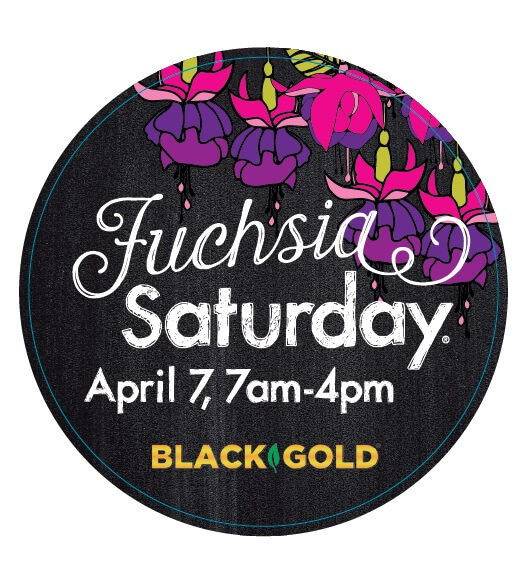 2018 Fred Meyer Fuchsia Saturday with Black Gold Black Gold