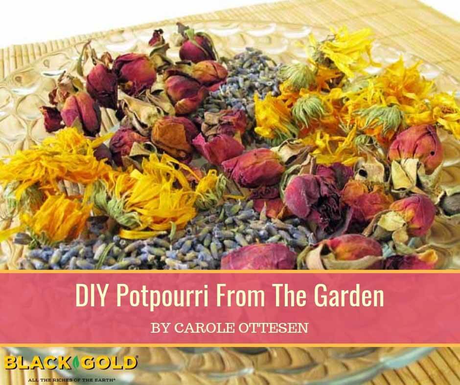 How To Dry Flowers + Make Naturally Scented Potpourri