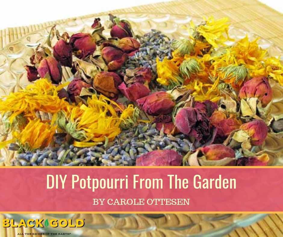 How to Make Potpourri at Home  Homemade Fragrance - Byther Farm