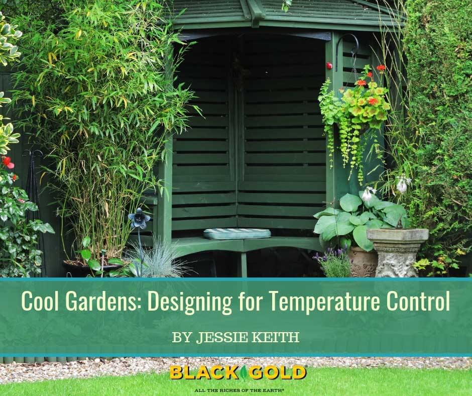 How to Stay Cool While Landscaping & Gardening