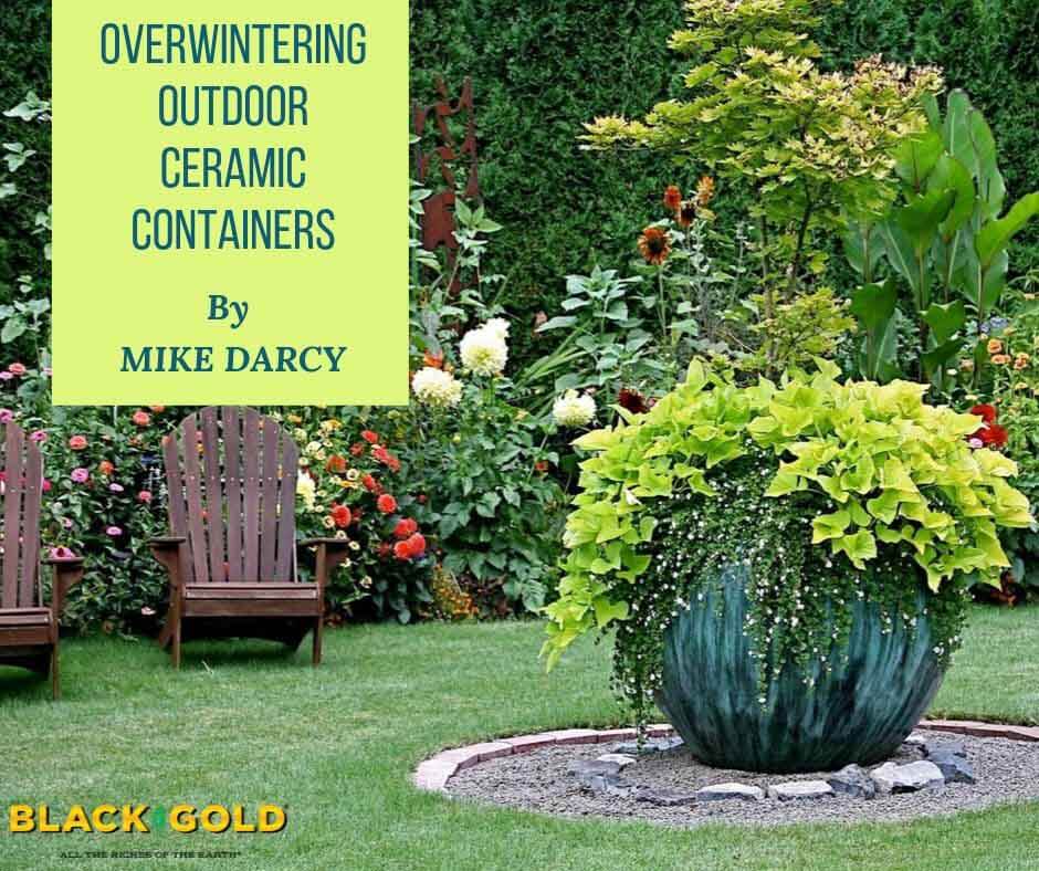 Overwintering Outdoor Ceramic Containers – Black Gold