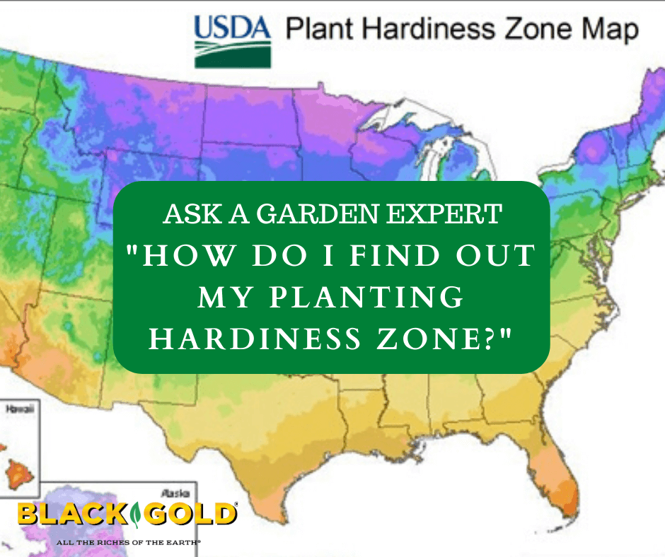 Hardiness Zone Map at