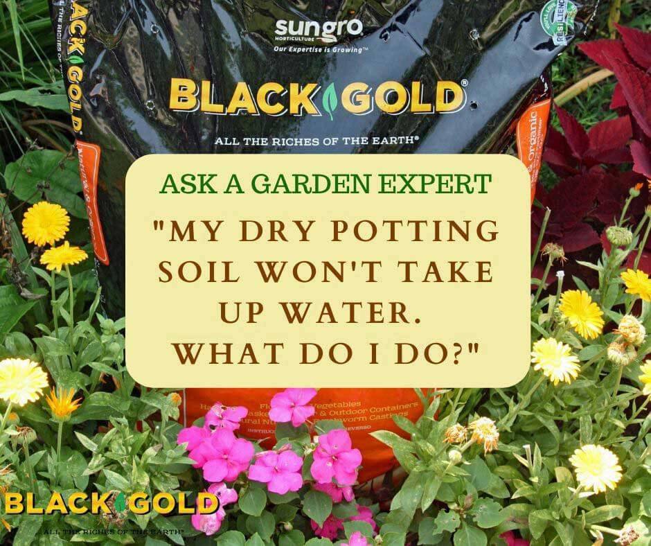 https://blackgold.bz/wp-content/uploads/sites/3/2020/03/soil.jpg