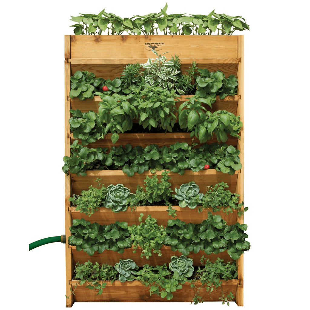 Vertical Gardening: Grow More Vegetables in Less Space