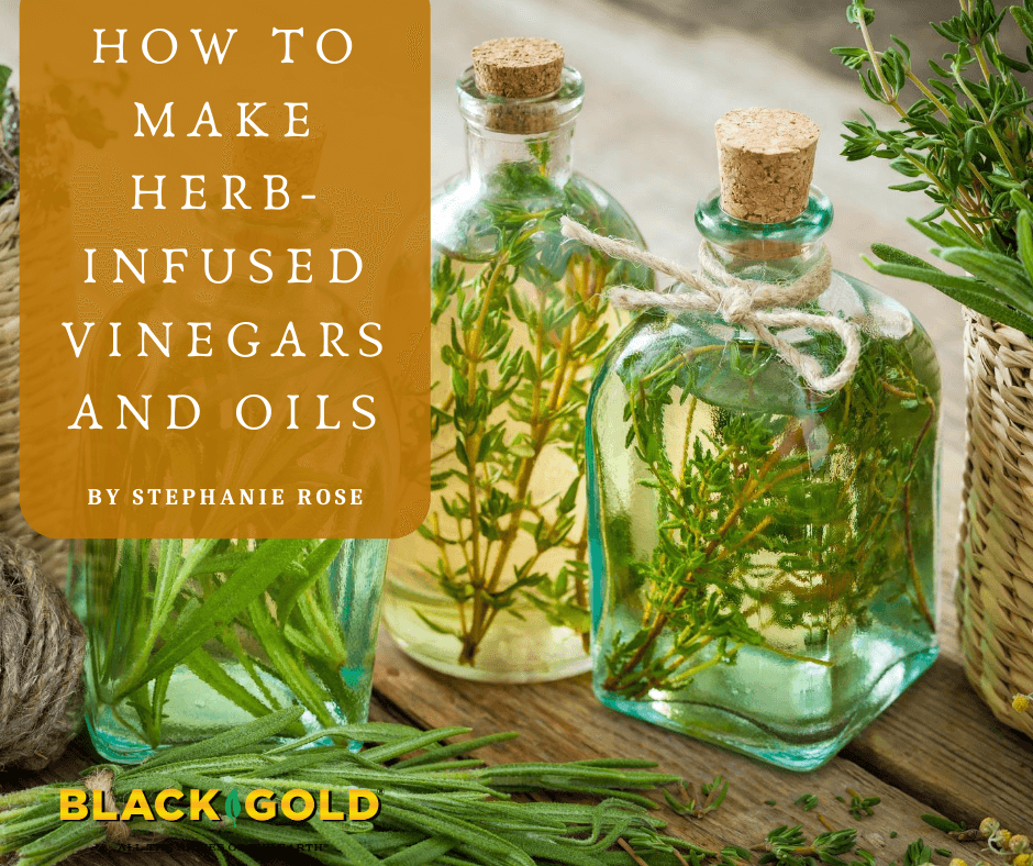 What Is a Cold Infusion + Herbs to Cold Infuse