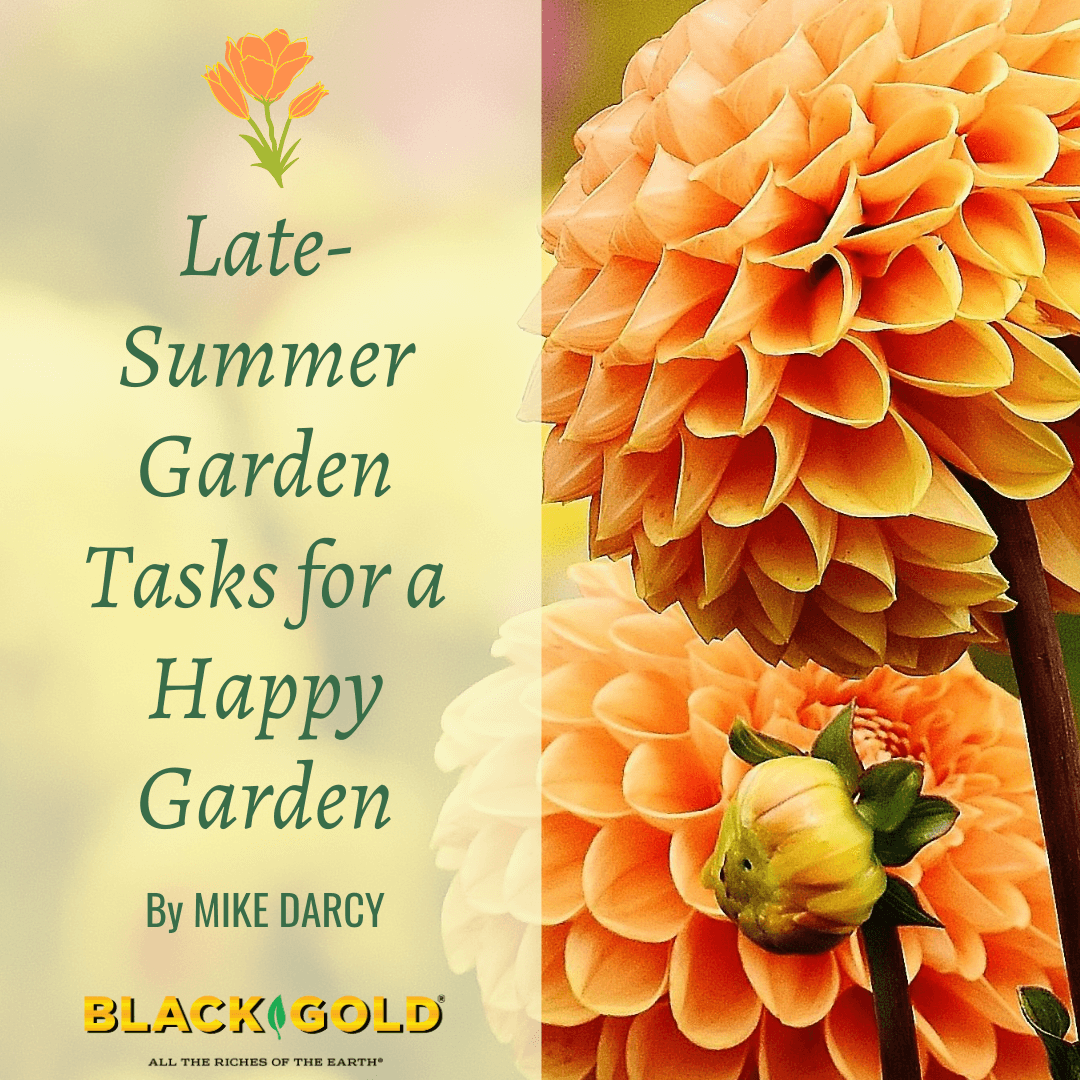 summer garden quotes