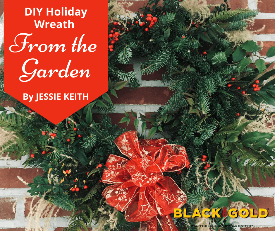 How to Make Your Own Christmas Wreath ⋆ North Coast Gardening