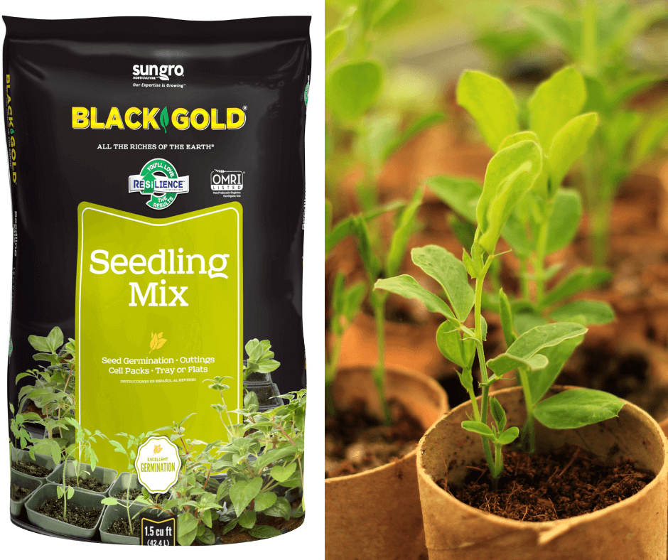 Bottom Heat for Happy Heirloom Seed Starting – Black Gold